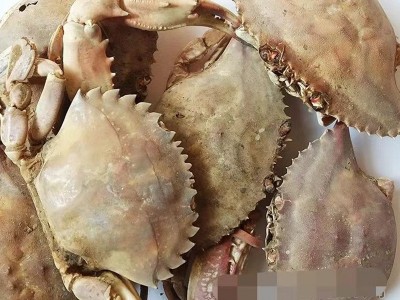 厂家直供饲料级螃蟹壳粉 蟹壳 有机肥图5