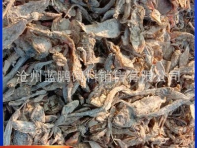 现货供应饲料鱼干 鸡鸭虾蟹水产养殖饲料鱼干 深 海盐干杂鱼图2