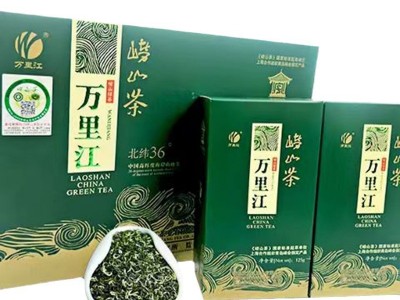 2024年青岛特产崂山绿茶万里江江雪二星新茶250克礼盒装绿茶图5