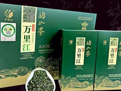2024年青岛特产崂山绿茶万里江江雪二星新茶250克礼盒装绿茶图3