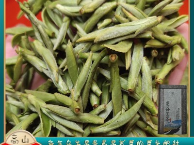 明前龙井43扁型茶叶遂昌豆香板栗香黄版新茶浙南茶叶高山茶乌牛早图2