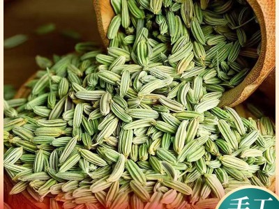 小茴香籽散装可药材用茴香香料荤香炖羊肉调料 可打小茴香粉图3
