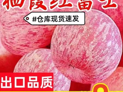 正宗烟台栖霞红富士苹果脆甜多汁新鲜采摘应季水果整箱包邮批发图3
