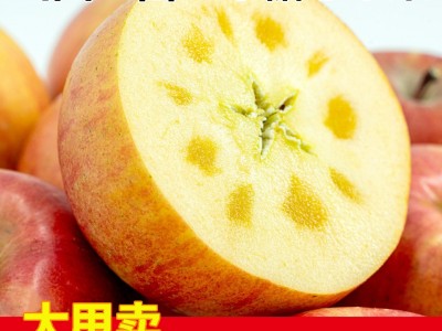 【现摘现发】山西冰糖心苹果红富士苹果水果丑苹果脆甜新鲜苹果图3