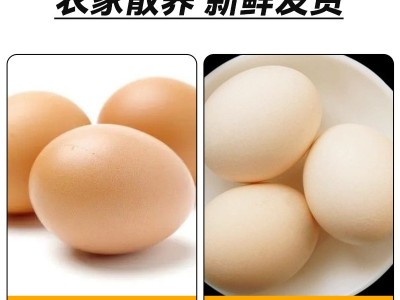 农村散养土鸡蛋五谷喂养走地鸡蛋月子蛋现捡新鲜母鸡初生蛋批发图2