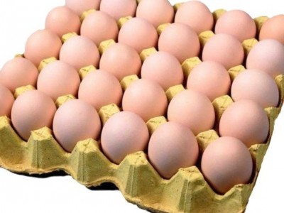 皖南土鸡蛋农家散养鸡蛋月子蛋辅食蛋现捡新鲜母鸡初生蛋批发图5