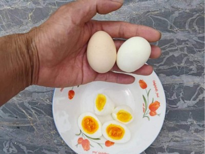 皖南土鸡蛋农家散养鸡蛋月子蛋辅食蛋现捡新鲜母鸡初生蛋批发图3