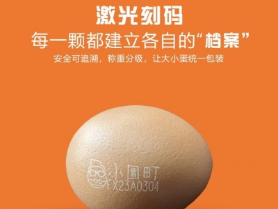 端午节员工福利可生食无抗富硒高锌叶黄素鲜鸡蛋图4