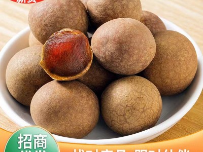 桂圆干新货袋装蒸汽烘干龙眼干500克整箱拿货10斤20斤散装批发图3