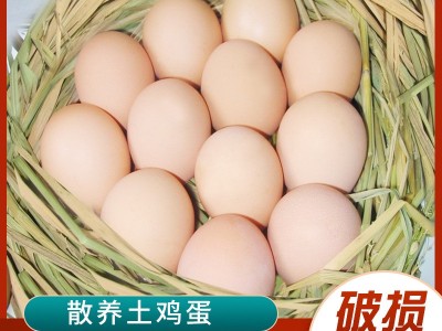 正宗新鲜土鸡蛋农家散养农村自养鸡蛋笨鸡蛋柴鸡蛋图4