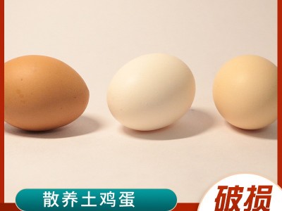 正宗农村土鸡蛋整箱鸡蛋新鲜柴鸡蛋农家散养草鸡蛋图4