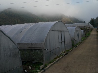 12丝 0.12mmPEP利得膜 温室大棚膜长寿无滴膜农用塑料薄膜塑料布图3