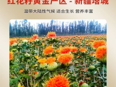 西格尔新疆西格尔食用红花籽油5升一级压榨新疆塔城纯红花籽油5L图2