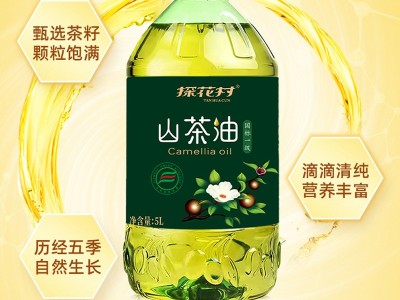 山茶油纯正野山茶籽油国标一级江西山茶子食用油厂家直销价格便宜图2