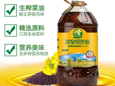 纯菜籽油农家自榨菜油非转基因食用油物理压榨植物油厂家直销批发图3