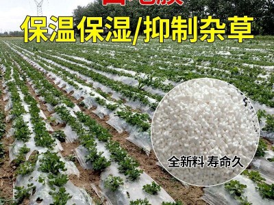 白地膜保温保湿大棚塑料薄膜白色地膜蔬菜种子过冬黑色农用工程膜图3