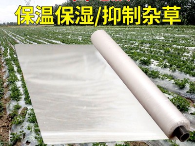 白地膜保温保湿大棚塑料薄膜白色地膜蔬菜种子过冬黑色农用工程膜图2