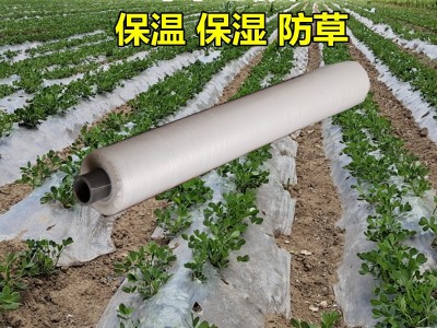 白地膜保温保湿大棚塑料薄膜白色地膜蔬菜种子过冬黑色农用工程膜图4
