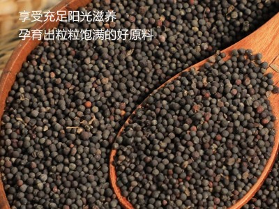 食本臻小榨菜籽油5L非转基因压榨好油推荐植物油工厂直发图3