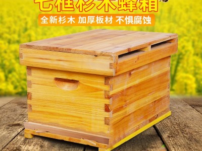 蜂箱杉木七框型中蜂蜜蜂蜂箱煮蜡杉木中蜂标准七框蜂巢箱蜂具批发图2
