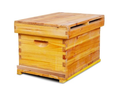 蜂箱杉木七框型中蜂蜜蜂蜂箱煮蜡杉木中蜂标准七框蜂巢箱蜂具批发图5