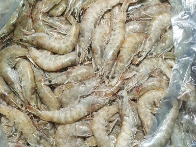 现货批发 大板虾40-50冷冻白虾盐冻虾商用整箱批发基地图2