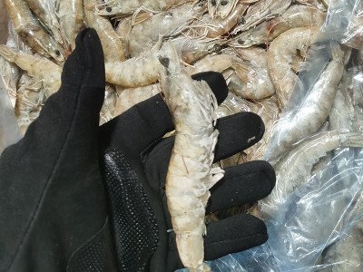 现货批发 大板虾40-50冷冻白虾盐冻虾商用整箱批发基地图3