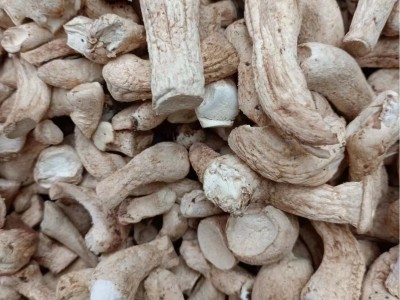 1号精选双剪西峡香菇脚香菇腿25KG冬菇柄图5