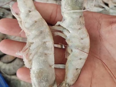 商用厄瓜多尔白虾大板盐冻散装青虾 实惠整箱净6kg批发冷冻海水虾图1