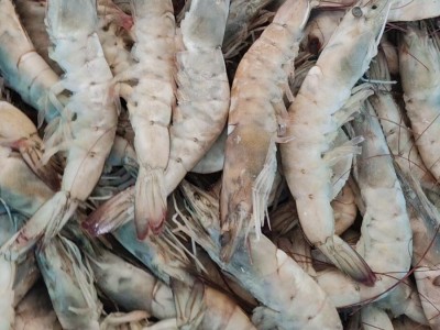 商用厄瓜多尔白虾大板盐冻散装青虾 实惠整箱净6kg批发冷冻海水虾图4
