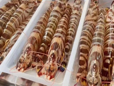 整箱批发 舟山野生竹节大虾 冷冻海捕九节虾 斑节虾 礼品虾图3