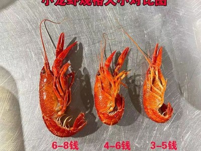 湖北冷冻速冻鲜活清水整肢冰冻冷冻小龙虾内销出口冻货456规格567图3