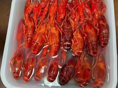 湖北冷冻速冻鲜活清水整肢冰冻冷冻小龙虾内销出口冻货456规格567图4