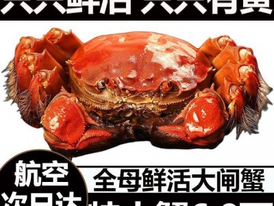 螃蟹批发阳湖大闸蟹洪湖大闸蟹河蟹特大蟹批发死蟹包赔满膏公蟹图4