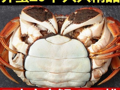 螃蟹批发阳湖大闸蟹洪湖大闸蟹河蟹特大蟹批发死蟹包赔满膏公蟹图2