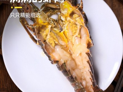 小青龙虾鲜活动速冻大龙虾花龙现货供应码头直发东山海鲜批发大虾图4