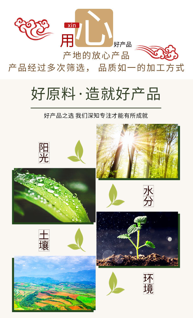 黄芪片详情_04
