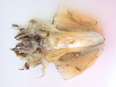 鱼民自晒东海胆淡干墨鱼500g干货小鱼乌贼海鲜海产品淡水煲汤图4