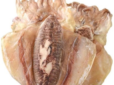 新品东海新鲜特大墨鱼干淡干墨鱼干货目鱼干煲汤海产干货整箱商用图4