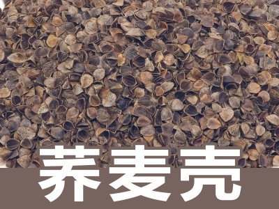 批发散装荞麦壳500g高温清洗干净无灰枕头座垫纺织物填充 原料现货图3
