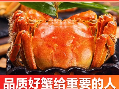 阳澄湖镇大闸蟹加盟鲜活螃蟹批发团购大闸蟹礼盒中秋礼品工 厂直图3