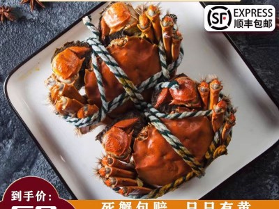 活蟹阳澄湖镇大闸蟹特大鲜活可全公母蟹水产特大淡水螃蟹礼盒图3