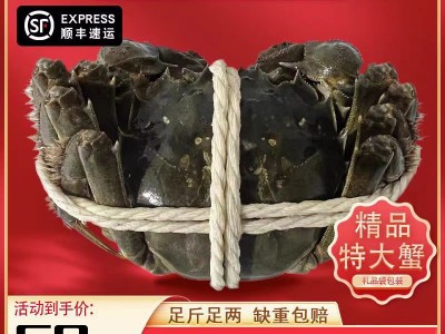 阳澄湖镇鲜活大闸蟹肉嫩黄特大母蟹公蟹足秤螃蟹水产特大特肥螃图1