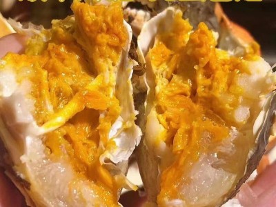 阳澄湖镇鲜活大闸蟹肉嫩黄特大母蟹公蟹足秤螃蟹水产特大特肥螃图3