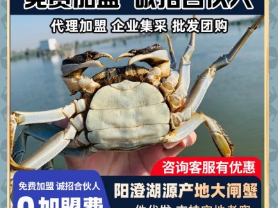 正宗阳澄湖蟹农直发大闸蟹源头供应链水产送礼团购螃蟹礼盒批发图3