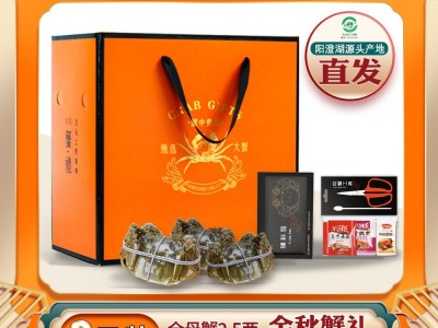 阳澄湖鲜活大闸蟹批发螃蟹尝鲜2.5两母蟹 34.75元/只，8只起拍图3