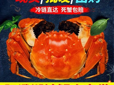 批发现货阳澄湖镇活体螃蟹精品礼盒六月黄公母鲜活大闸蟹中秋送礼图2