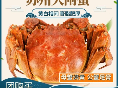阳澄湖镇螃蟹鲜活大闸蟹苏州淡水蟹顺丰包邮礼盒装大闸蟹产地直发图2