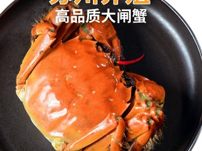 现货鲜活大闸蟹产地直发阳澄湖镇螃蟹鲜活水产海鲜采购批发图2