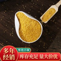批发黄金苗小米 袋装25kg小米五谷杂粮农家新米米油浓稠小米